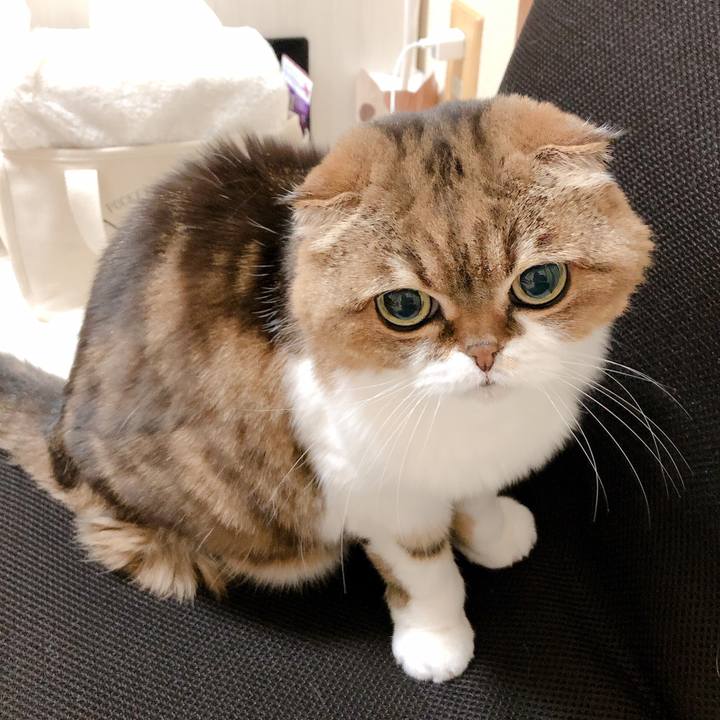 86dcc321 c09f 4f29 98aa ce85c34e50ef 1608977948660