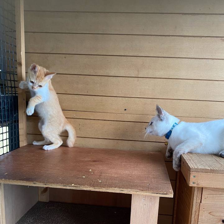 86dd0b2a 512c 477a a41b e375fe68f1f3 1631666407712