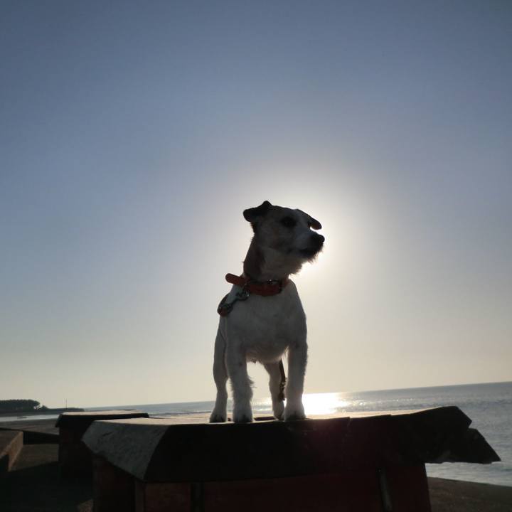 86dd1ae7 7490 417d a753 2757861d1f69 1551001754143