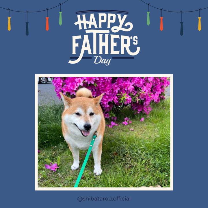 86dd827a 3ca0 4643 ae12 469f75835de5 1655631798770