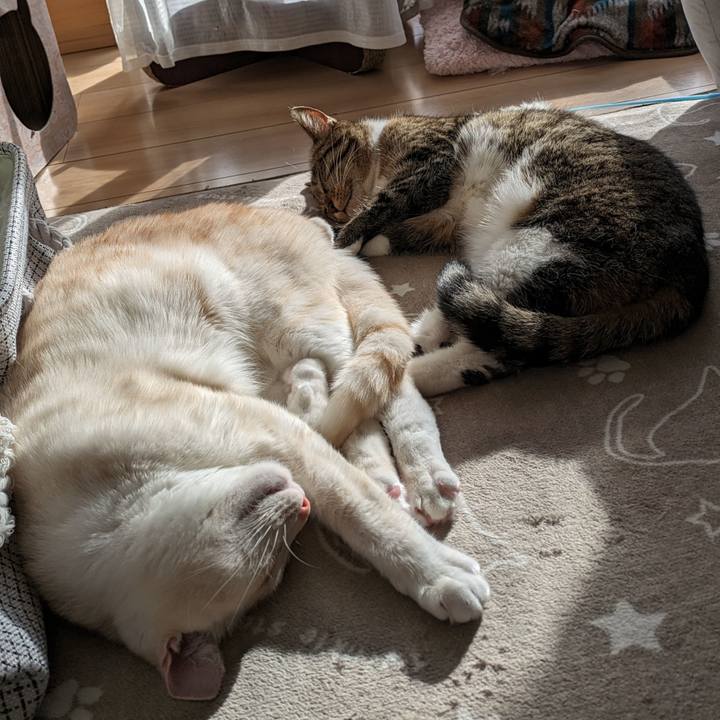 86dd83d7 02b2 444f bce1 2cdbbc4310cd 1703046239420