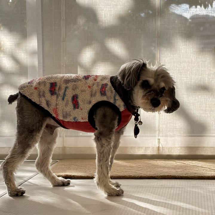 86dda1d4 c5fd 4343 ba22 d6270e8ebd67 1762768867085