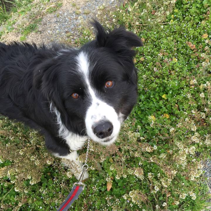 86ddfc76 4fd5 4c83 96e8 751e51d59f45 1550793925308