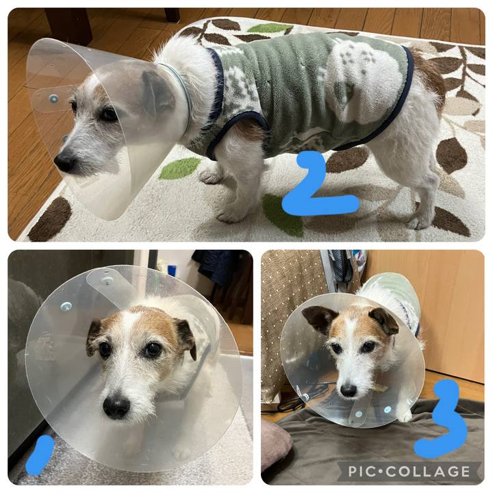 86de0949 5628 4b6f 8598 b9505c0fc592 1739834930662