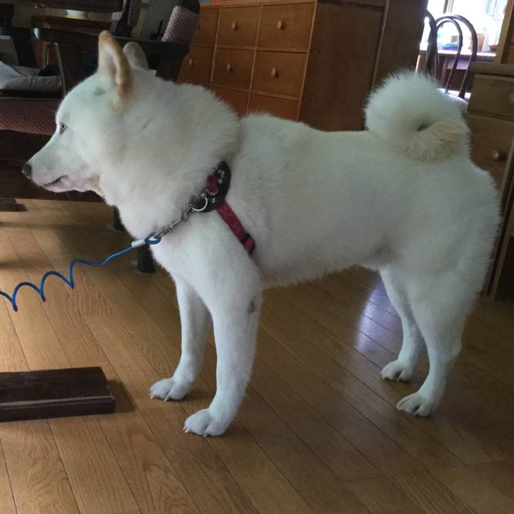 86de0988 93f5 4e6e 959f 36c60eb4bbfe 1536394644111