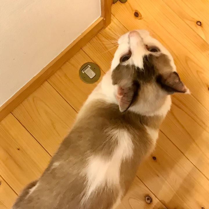 86de45ff 7cfc 4b31 89c0 2cf93f1ef5a9 1602942589541