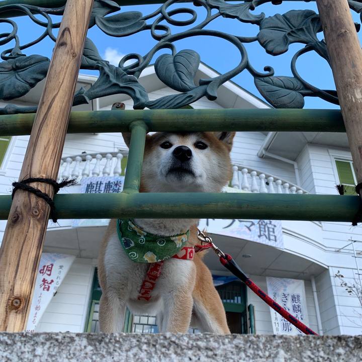 86de5412 7519 4a9e a5b7 34cc1b364ccc 1584694563083