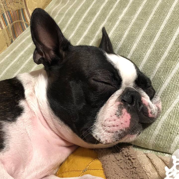 86de7c84 c765 45b6 9e21 8bd3141ee801 1537090182189