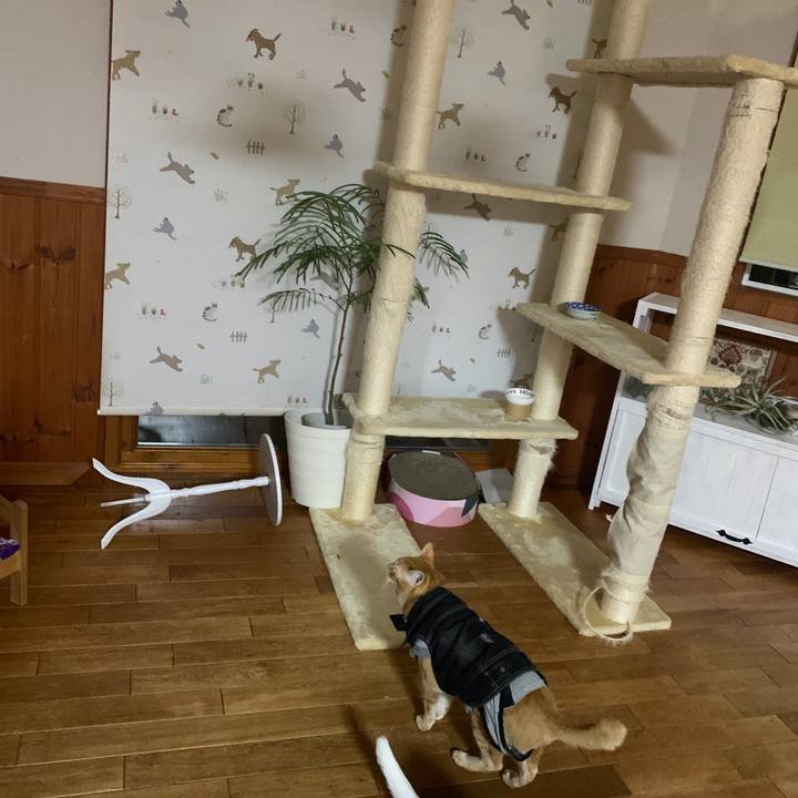 86de7cac 7387 4fd7 8d4a 493ff2195c44 1653751513027