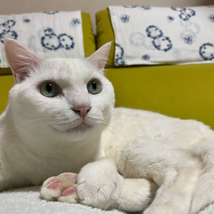 86deadb1 d1b9 46af b243 3827afe3dc43 1686460981065