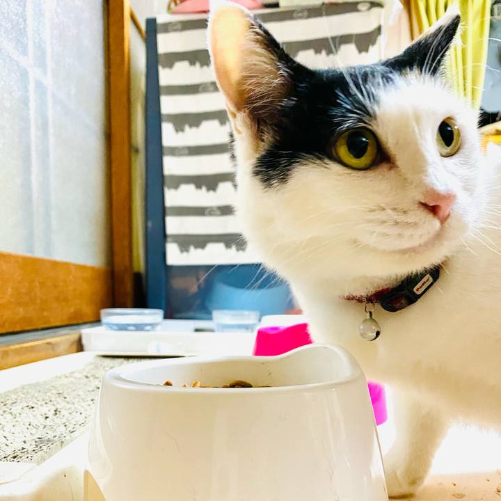 86ded6eb 735f 4b18 b771 ef926c1030a0 1687870181726