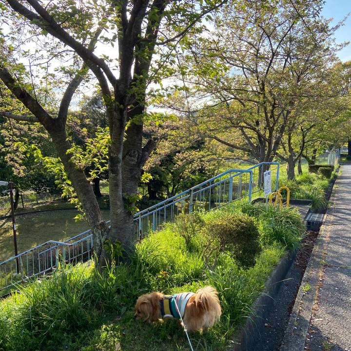 86def0ef 1500 4374 aa95 76f12e2fd4a0 1618094938946