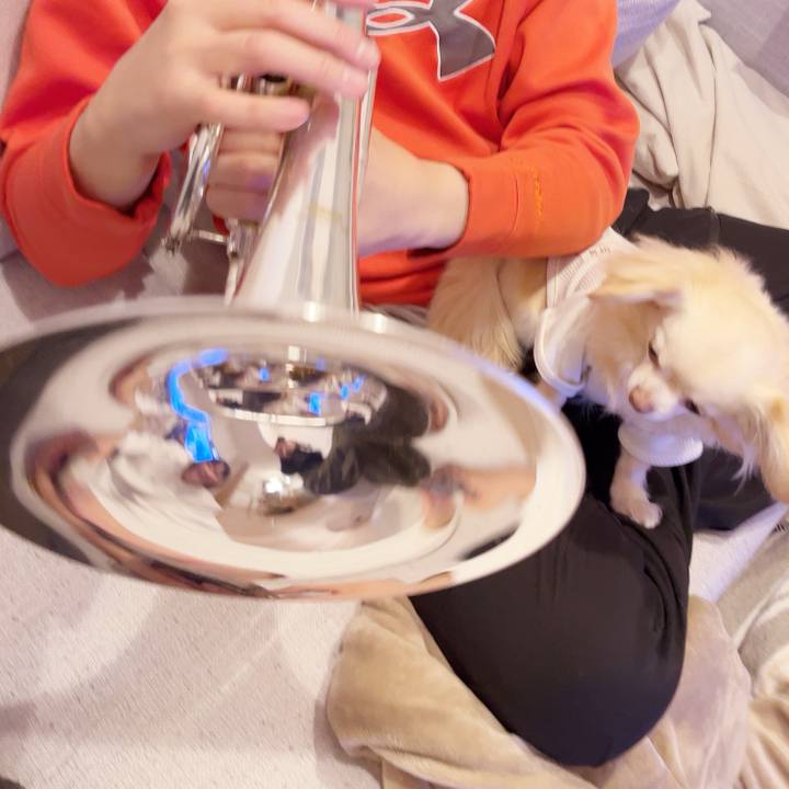 86df21d7 c15b 4df9 8d97 75841a5e178a 1744547693689