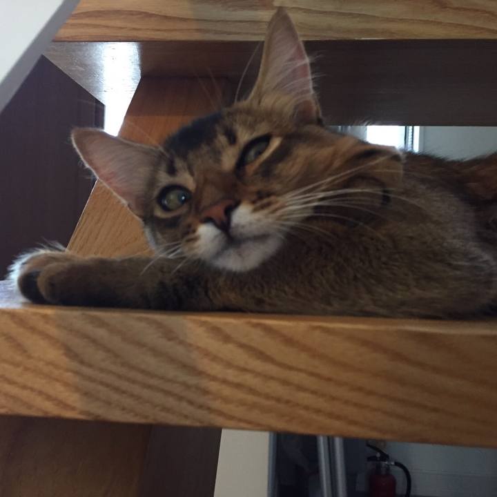 86df674f 7f23 4d09 bc6d f67f2b91cbef 1565310878203