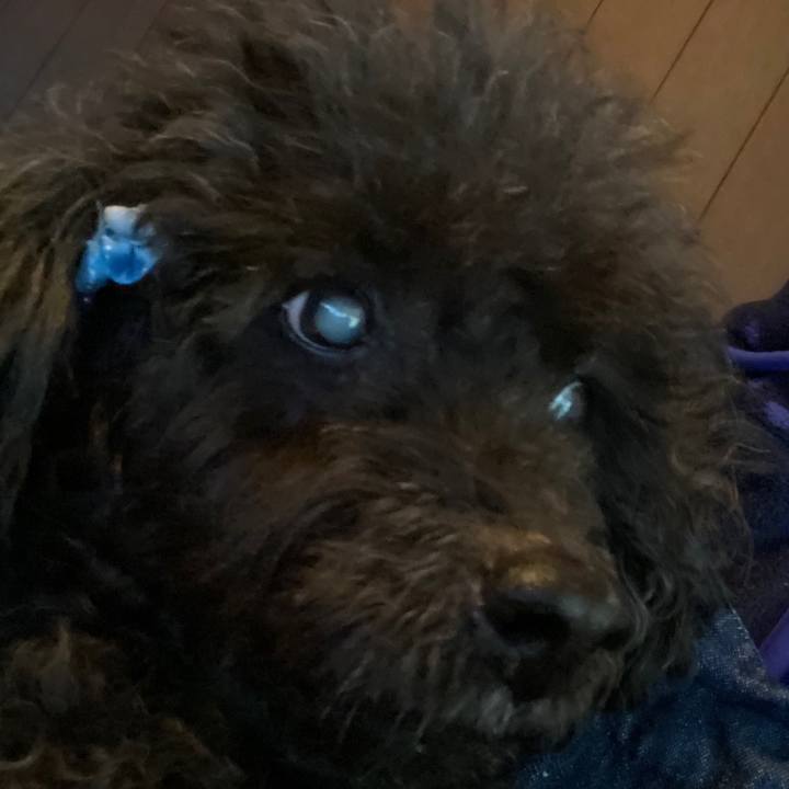 86df90c7 5d8c 45cf 9331 d5c2f934b575 1587706670409