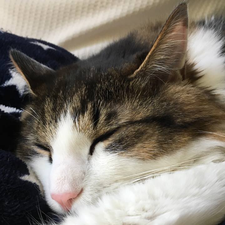 86df9182 9215 4bf2 9f7d 9bcaf99174a7 1526101721845