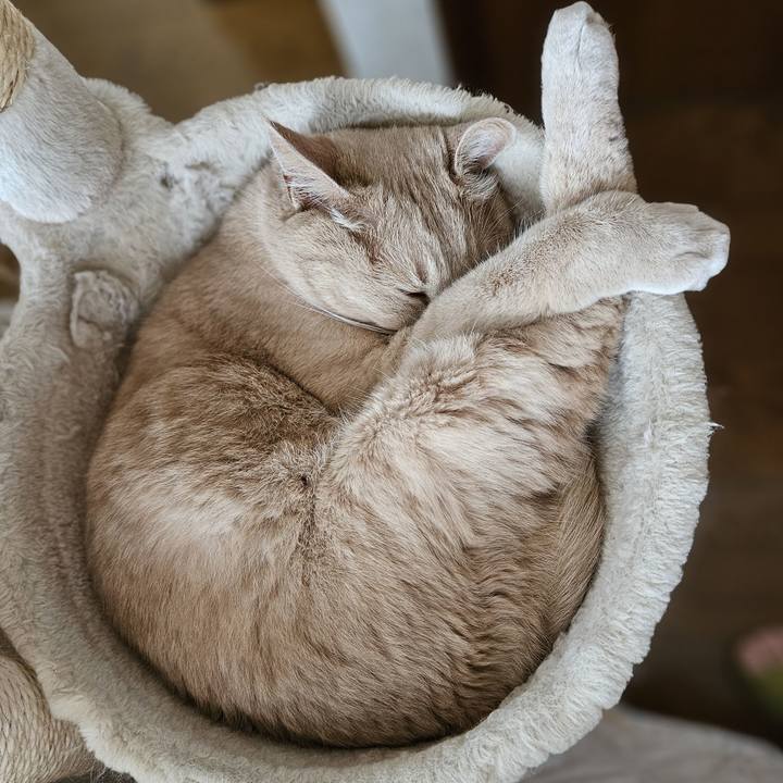 86dfd1e7 9d79 4863 b253 33d43118a918 1722765120454