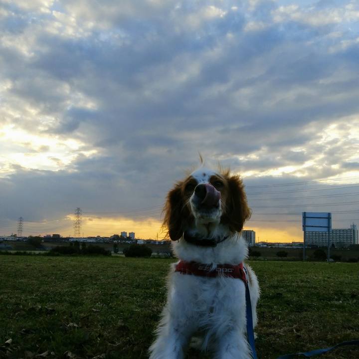 86e0362d 6238 4d56 91d9 f21a2d09d245 1545121479423