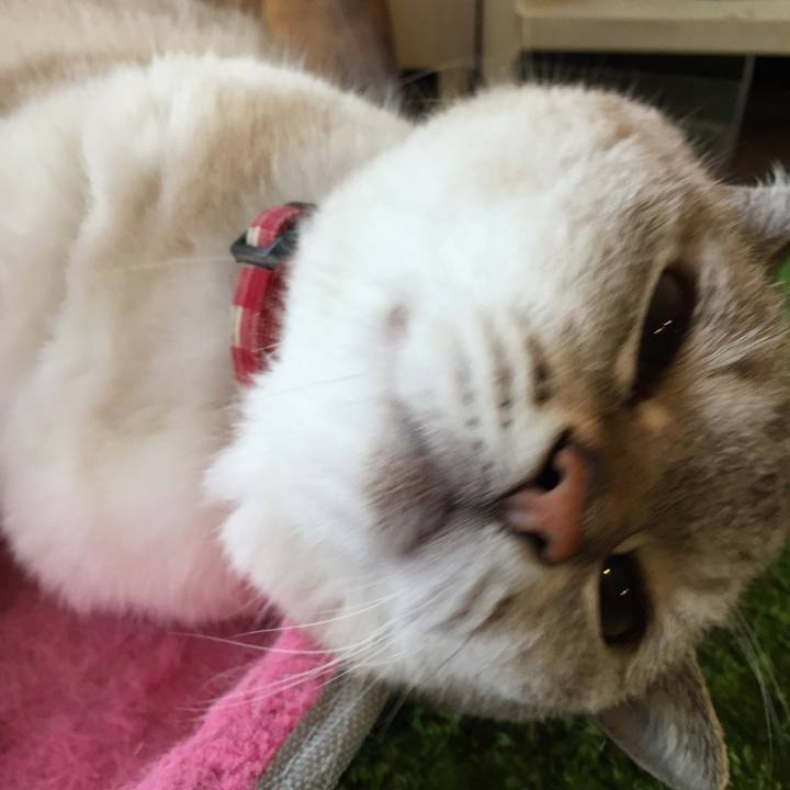 86e039c6 ed29 4dcb 9fd7 69dfe767e3d1 1569117494076