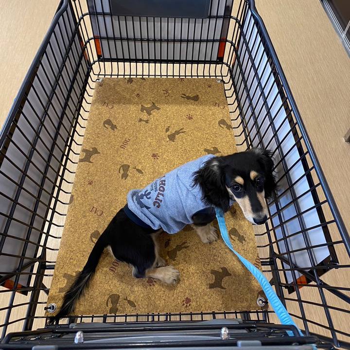 86e04b65 d985 4df3 b9ca 3891ac6b59c6 1672464099343