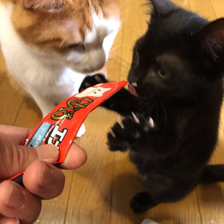 86e04c90 2ac0 4441 9d86 6ae264299eaf 1564060112117