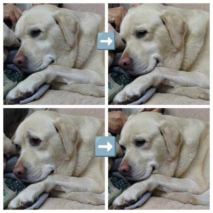 86e07fac 8f64 47f1 bdeb b0fa4329d8c1 1668940923128