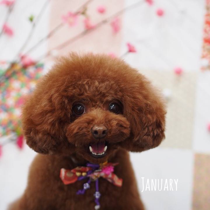 86e092a1 d4a4 4be0 9b65 e58fb2ff6d41 1516665088986