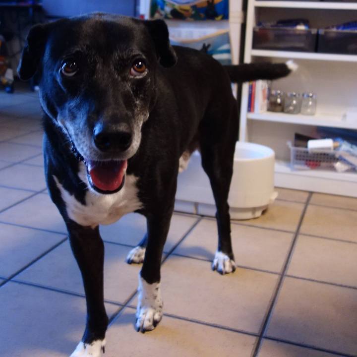 86e0adde 466c 40e6 8bf7 279402a3bf32 1752796256352