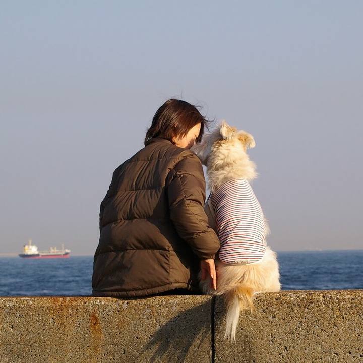 86e0cea4 72ae 4160 ab88 3994393aeb02 1581071513300