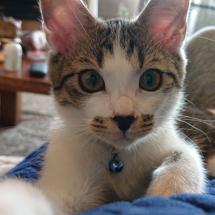 86e0fc03 999e 4cbc 88c2 7cab9f0f7770 1546659933095