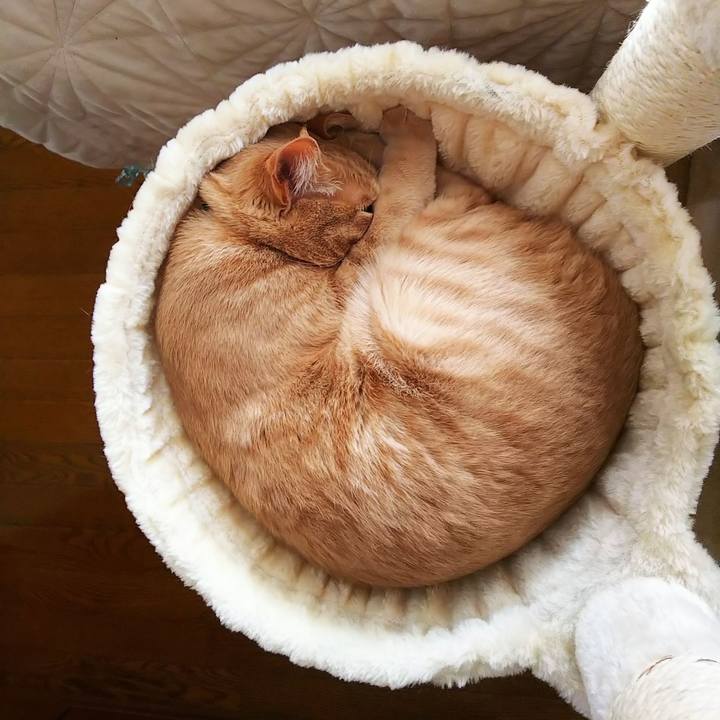 86e15f47 970a 4ffb 93d6 bd23ca794012 1582428530800