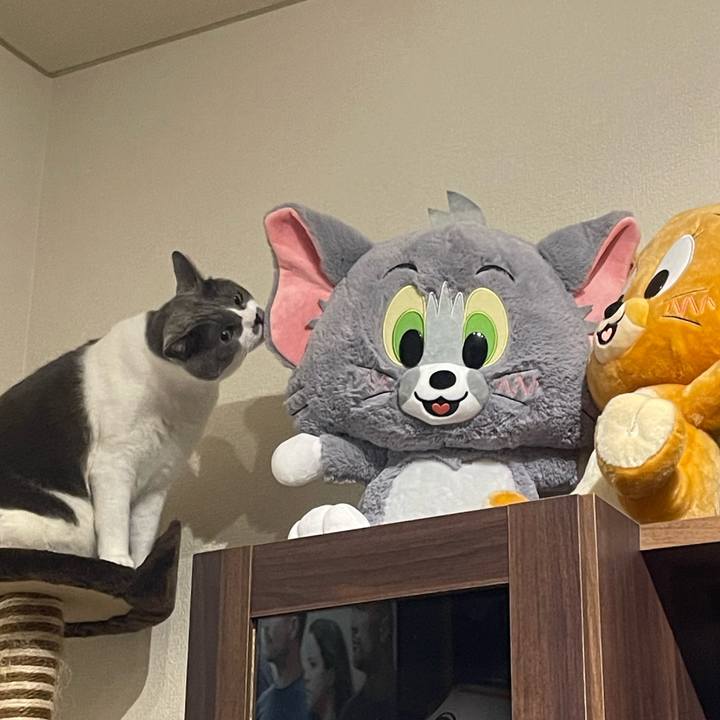 86e16886 e585 43a8 a414 a6b7bc17e477 1700407820584