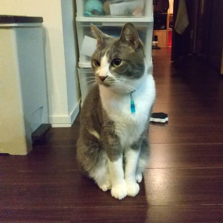 86e173b8 4bd3 418e 8e64 b775d8fff427 1642541770390