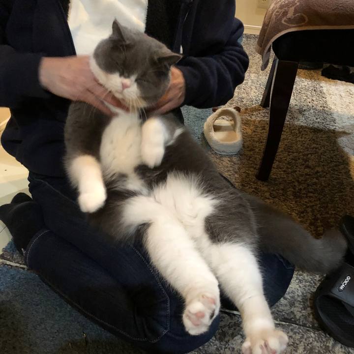 86e1d4a8 e538 486d a28d 66e2c02952f9 1549416731316