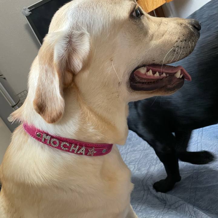 86e1e7c7 4864 4d42 b1fe d8931149e50b 1632900078107