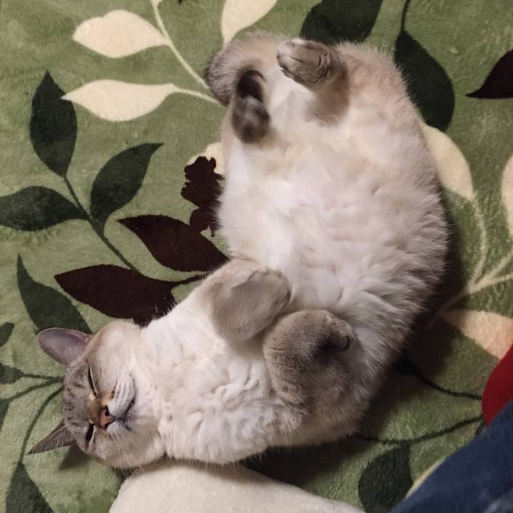 86e205e1 169c 4744 a863 897ba7ef01a1 1580556559809