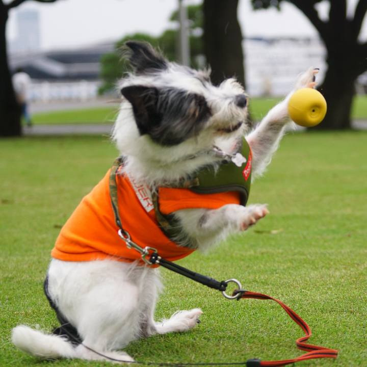 86e216e4 27ec 459c b828 0bbda7d9789e 1562668823246