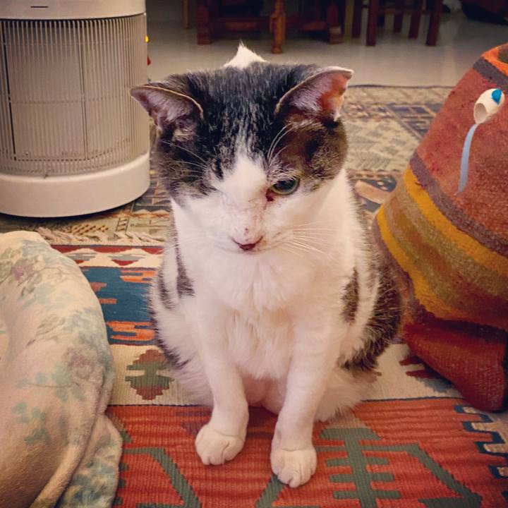 86e22a45 927e 40a5 8f8c c5fb0aaf7128 1583761809587