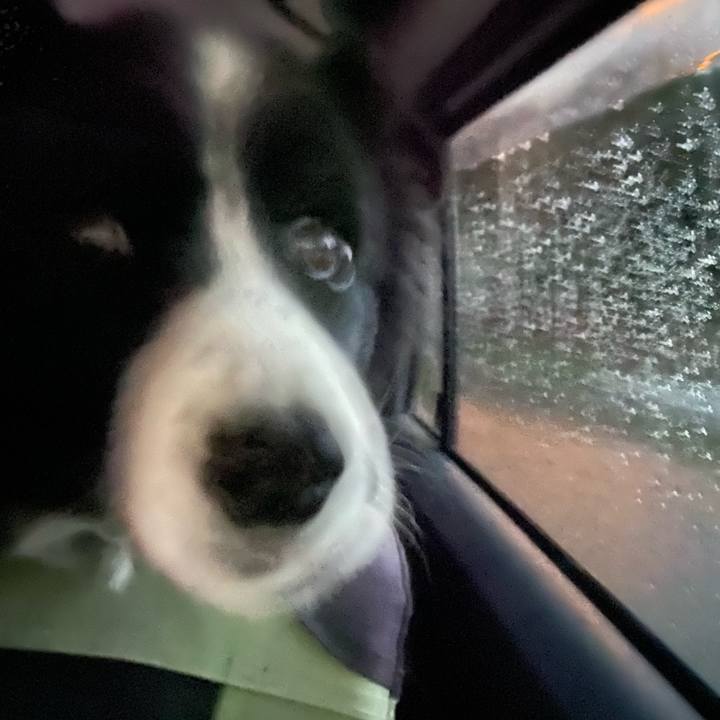 86e266f9 191c 499c b3df f6fbc95741d1 1674424784004