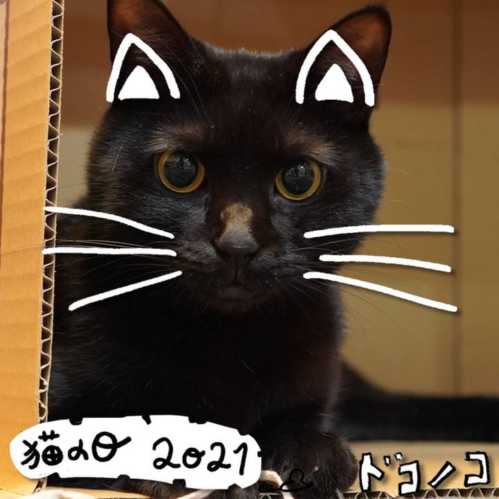 86e27036 1046 4022 908a d45e314b4b93 1614036002431