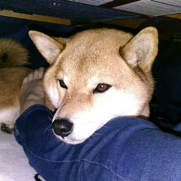 86e273b3 a332 4f22 93b7 da130819b723 1551661586414