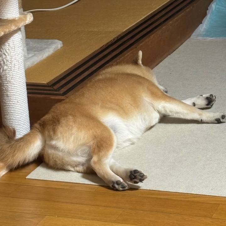 86e2b108 fabf 42f8 ad91 af64b98ceaf1 1743502240167