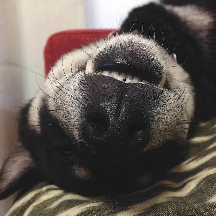 86e2f8fa d49b 4c1d 9169 c9e01b15c04e 1550069078081