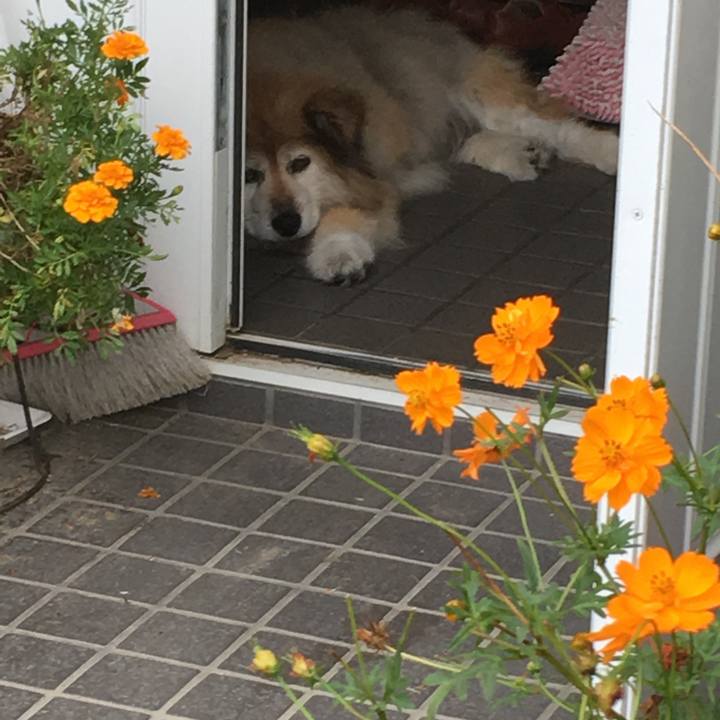 86e301cb 59f4 4151 9fae 429dc3288a43 1583891519837