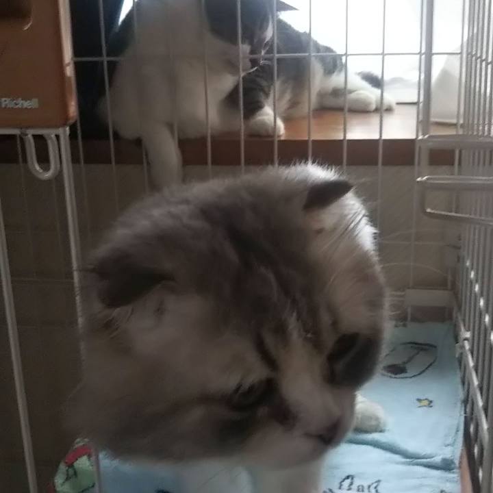 86e31e3b a6dc 4bcc b5bb 6d970e8f21fc 1625208735868