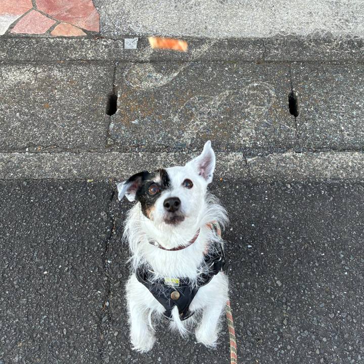 86e32e01 b7b9 4b92 bb39 e3c53b28fa1b 1767656653623