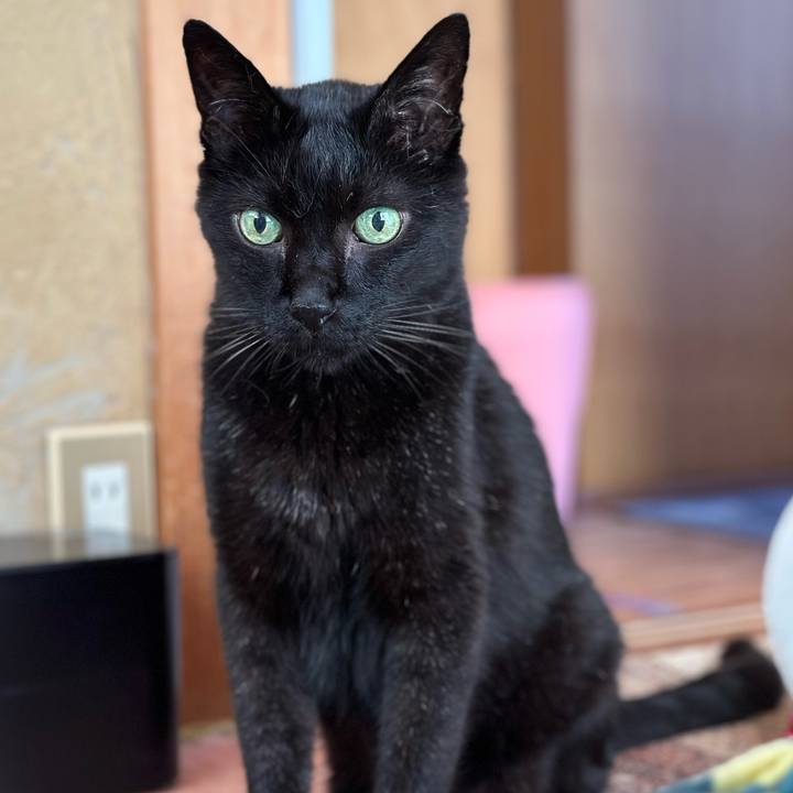 86e37239 45d0 4b50 b3b6 0b809e628635 1692835142254