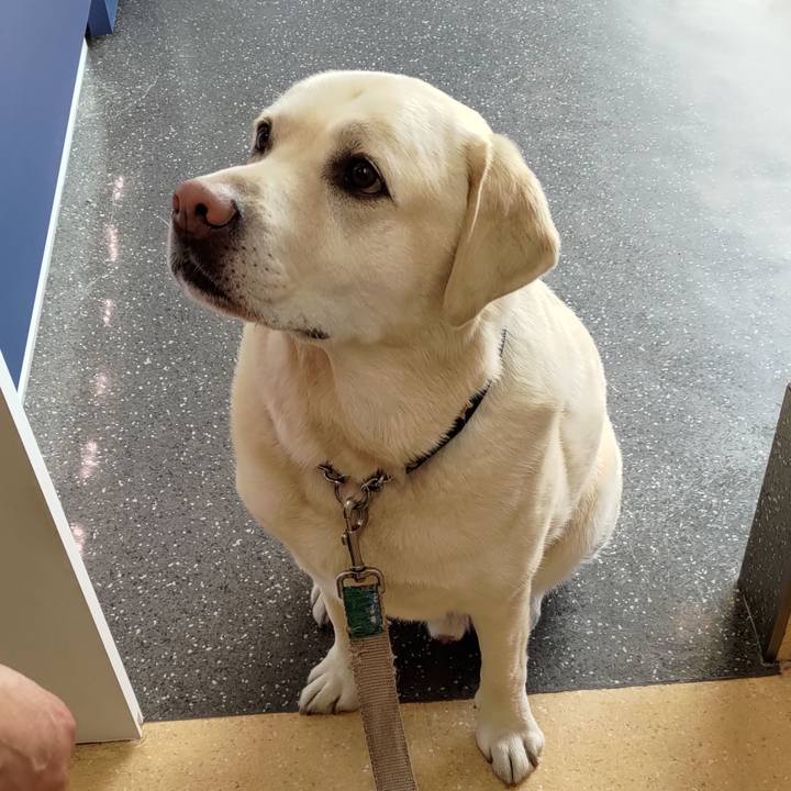 86e38856 1e27 4bce 87b0 0c0249a264b8 1682152932718