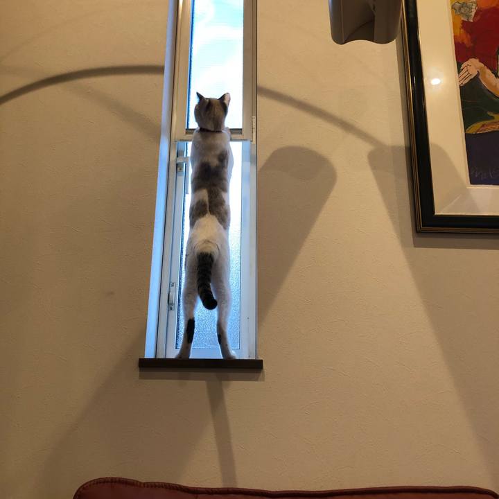 86e3a743 789d 4d02 9c9c bf8e13b01c74 1551310746161