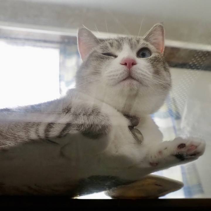 86e438d0 06d7 44a0 b6ed 678fc773f5a0 1627007744971